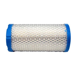 KOHLER LEVEGŐSZŰRŐ BETÉT CH25, CH269, CH22S