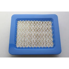 BRIGGS LEVEGŐSZŰRŐ