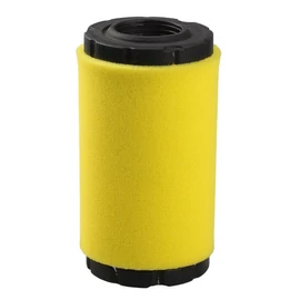 BRIGGS LÉGSZŰRŐ 793569