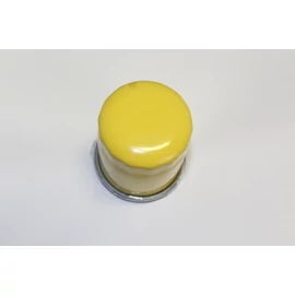 BRIGGS OLAJSZŰRŐ (795990) BRIGGS OLAJSZŰRŐ (795990)