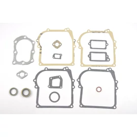 BRIGGS TÖMÍTÉS KSZL. 450,500 CLASSIC