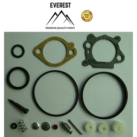 BRIGGS QUANTUM 492495, 493762, 498260 KARB. JAVÍTÓ KSZL.