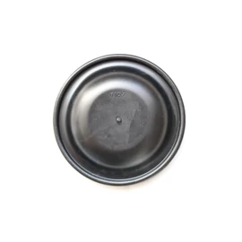 C19/20 PERM. LÉGÜSTMEMBRÁN