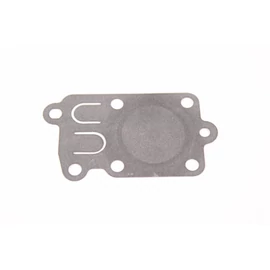 BRIGGS MEMBRÁN 5HP BRIGGS MEMBRÁN 5HP