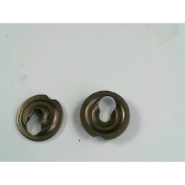 BRIGGS SZELEPTÁNYÉR