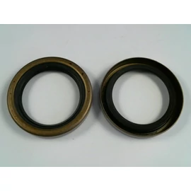 BRIGGS SZIMERING FELSŐ