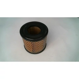 BRIGGS LEVEGŐSZŰRŐ (393957)