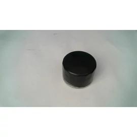 BRIGGS OLAJSZŰRŐ RÖVID