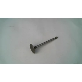 BRIGGS SZÍVÓSZELEP 5LE