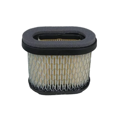 BRIGGS LÉGSZŰRŐ BETÉT 690610,697029