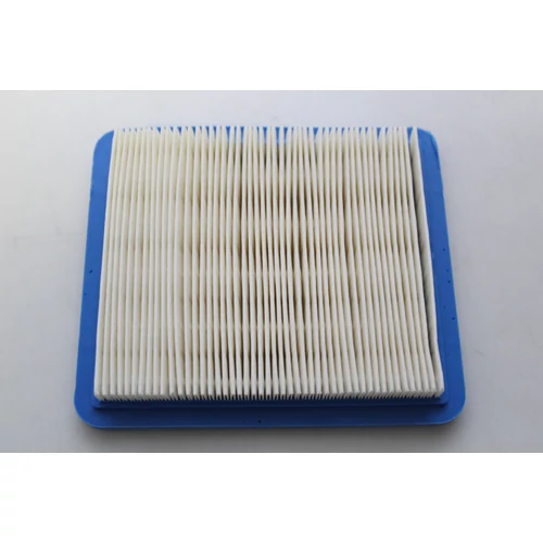 BRIGGS LEVEGŐSZŰRŐ