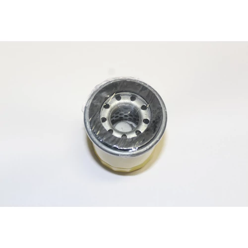 BRIGGS OLAJSZŰRŐ (795990)