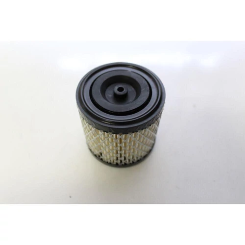 BRIGGS LEVEGŐSZŰRŐ 4HP HENGERES PAPÍRSZŰRŐ 69X30X70mm #396424 (US-101-038)