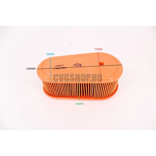 BRIGGS LEVEGŐSZŰRŐ BETÉT 114P02-0113-F1