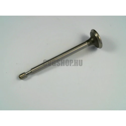 BRIGGS QUANTUM KIPUFOGÓSZELEP