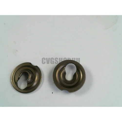 BRIGGS SZELEPTÁNYÉR