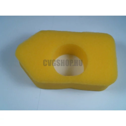 LEVEGŐSZŰRŐ BRIGGS