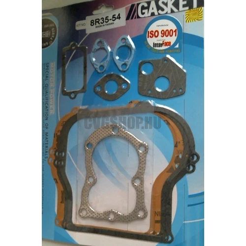 BRIGGS TÖMÍTÉS KSZL. 5LE VIZSZI. (8R35-54)