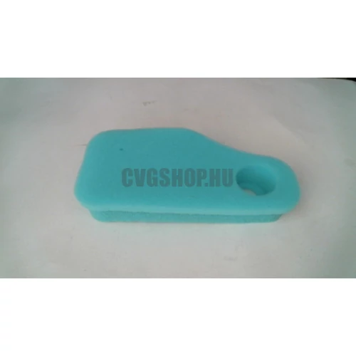 BRIGGS LEVEGŐSZŰRŐ