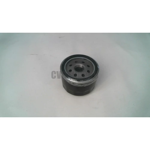 BRIGGS OLAJSZŰRŐ RÖVID