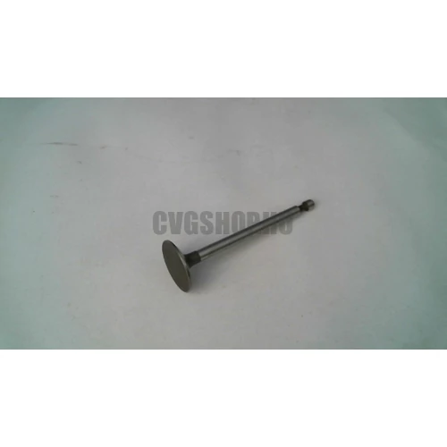 BRIGGS SZÍVÓSZELEP 5LE